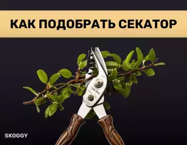 Подбираем идеальный секатор